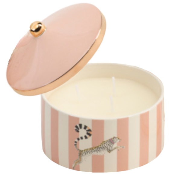 YVONNE ELLEN 9oz Boxed Purrfect Day Ceramic Multi Wick Candle - Gift Wrapped! - Picture 3 of 6